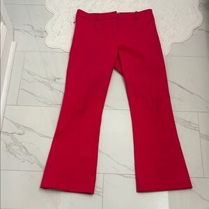 The cutest hot pink work pants or dressy pants perfect condition I swear